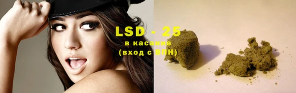apvp Кукмор