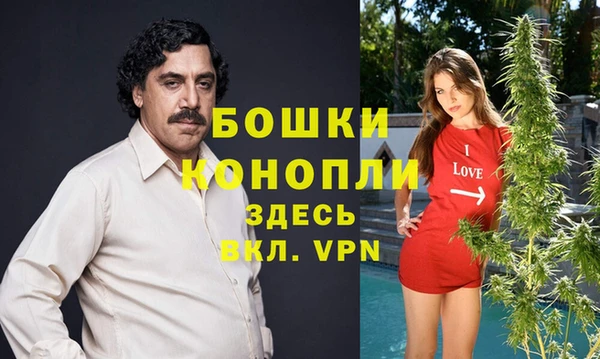 apvp Кукмор