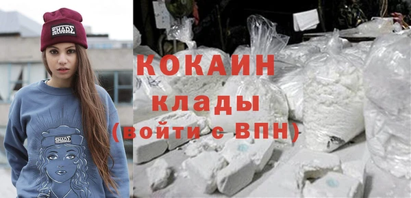 apvp Кукмор
