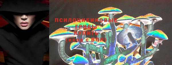 apvp Кукмор