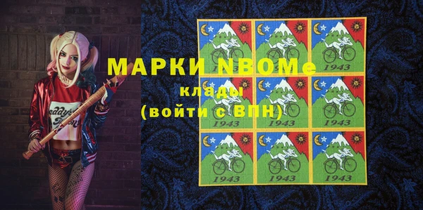 apvp Кукмор