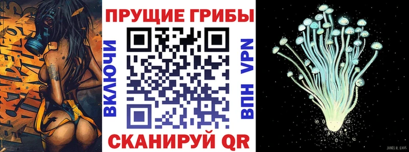 Галлюциногенные грибы ЛСД  Пойковский 